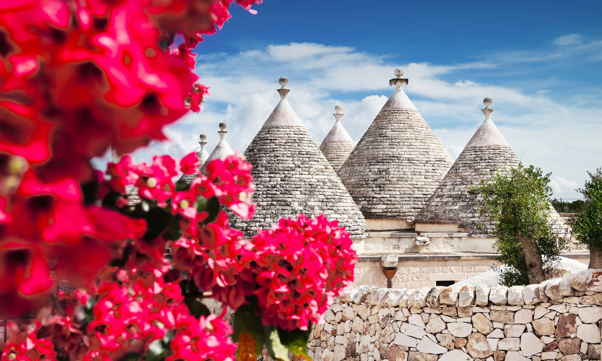 2000X1200 Carousel Background (4)