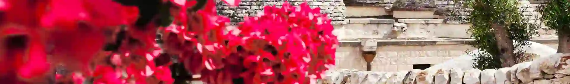 2000X1200 Carousel Background (4)