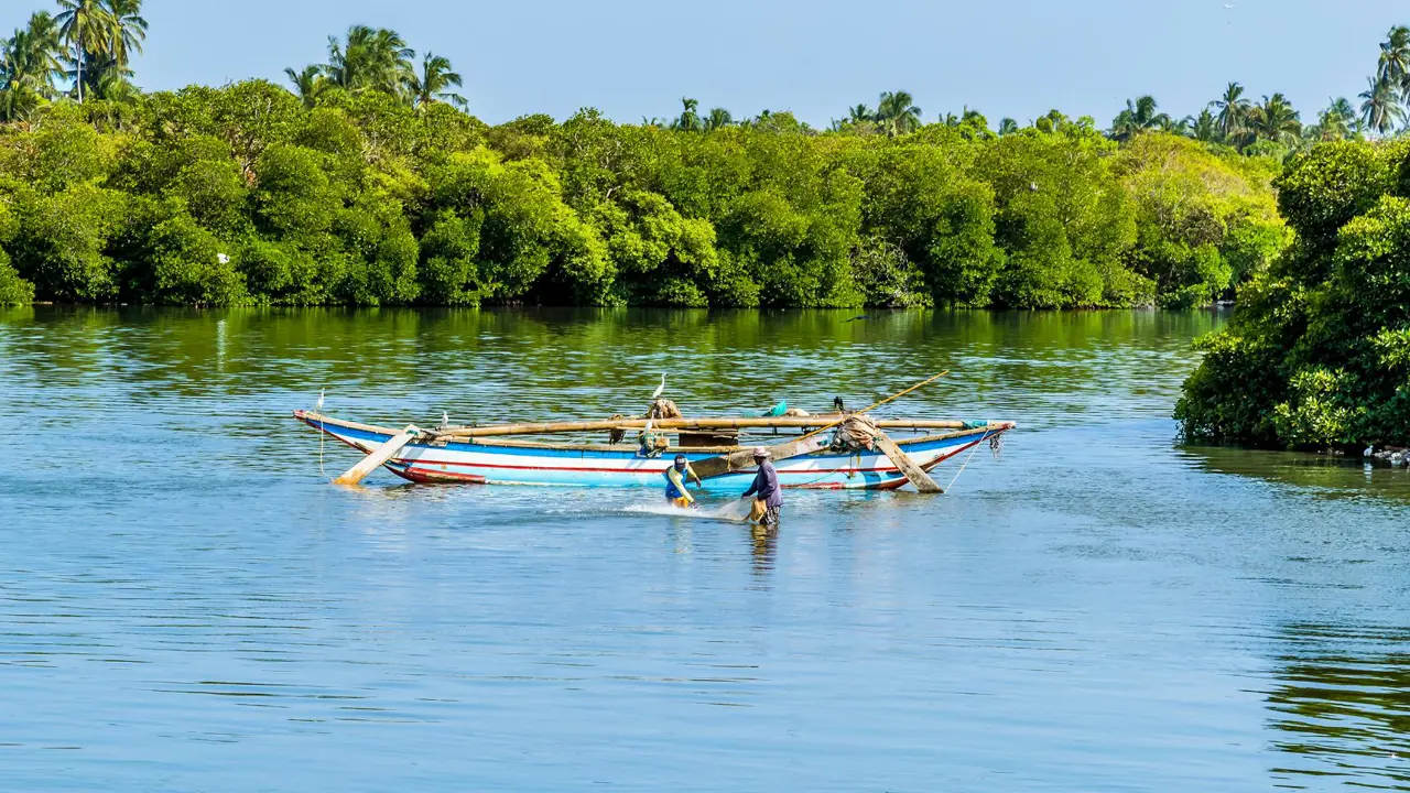 Fishermen check their nets, Negombo Lagoon, Sri Lanka