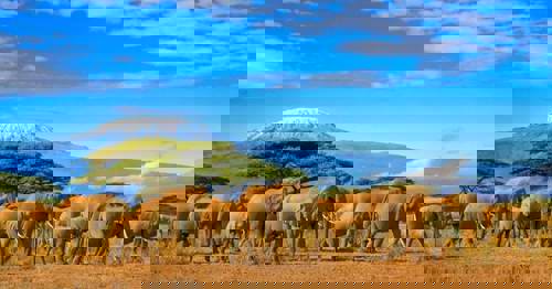 Kenya