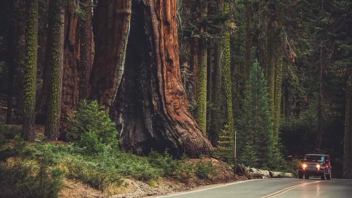 Natparks00002 (1)