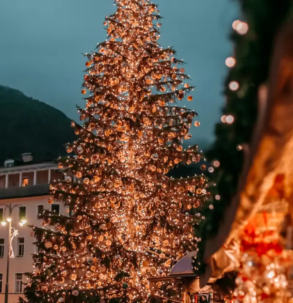 Bolzano Christmas Market