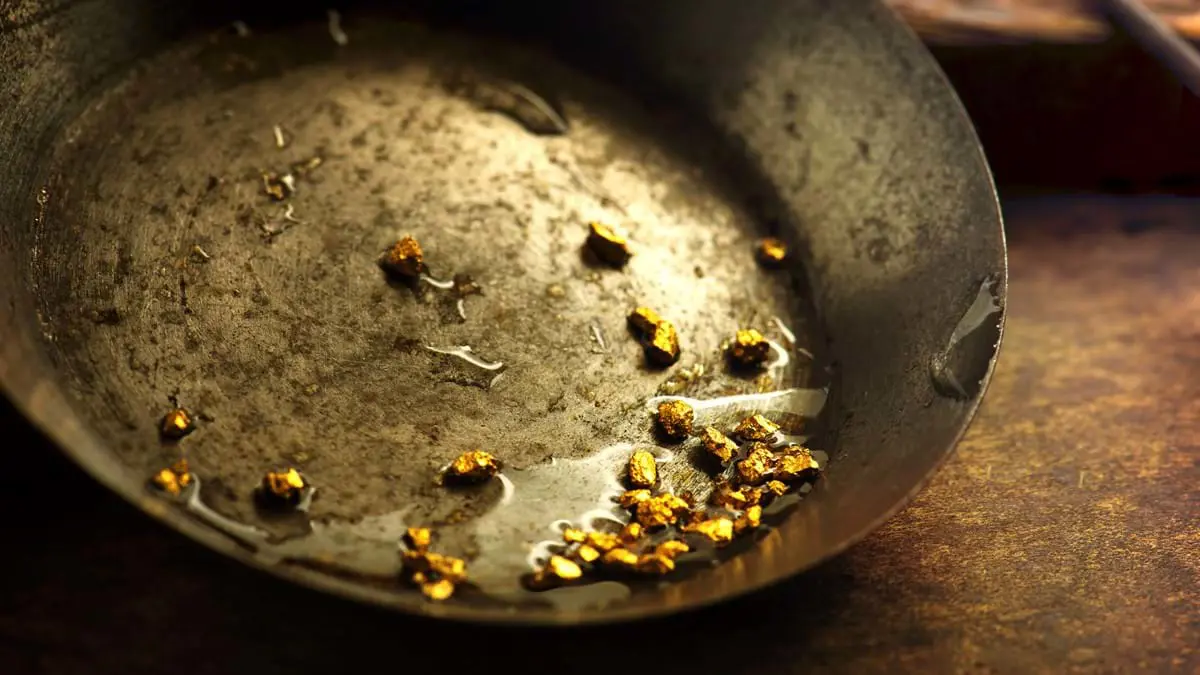 Gold Panning 220523407
