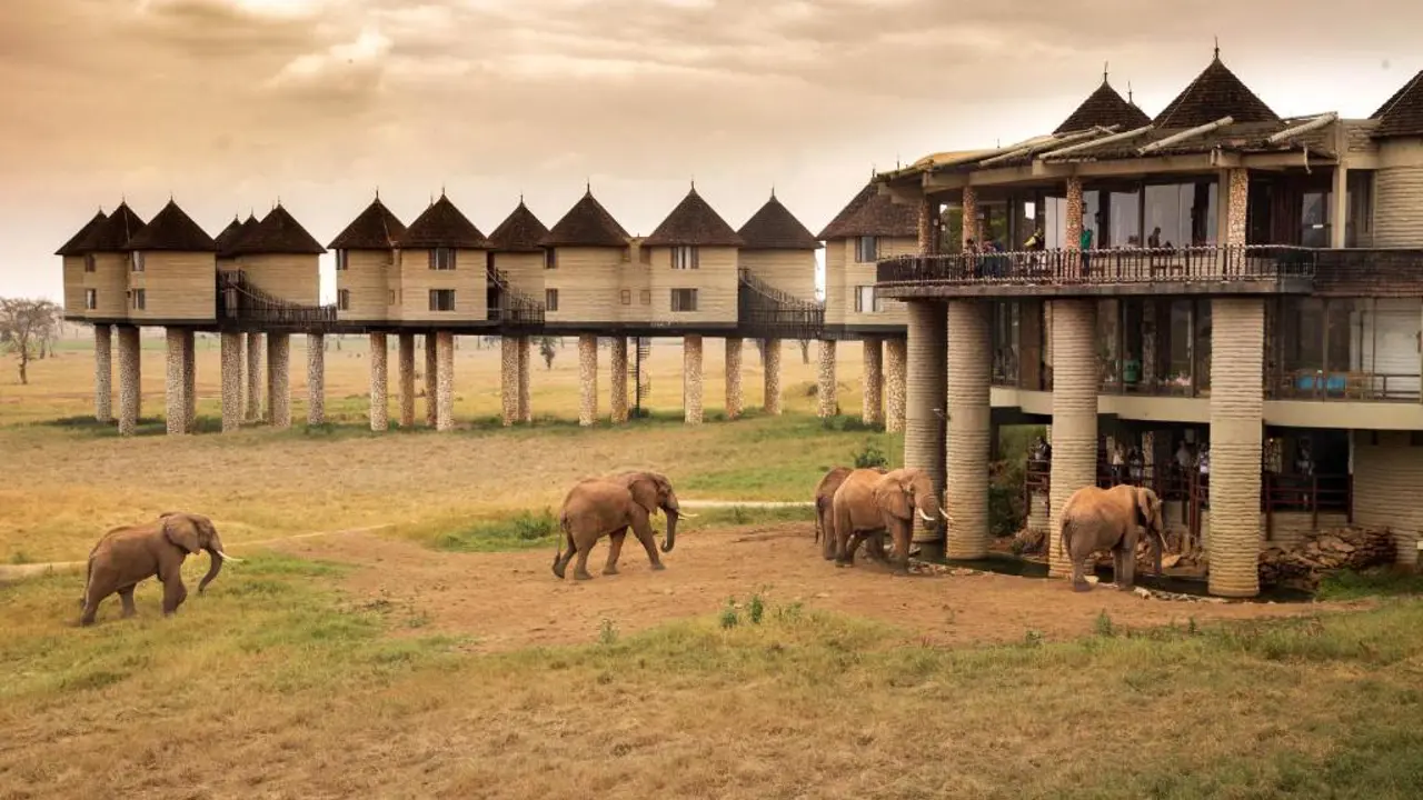 Sarova Salt Lick Game Lodge, Taita Hills