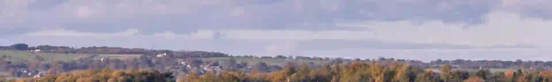 Harewood House, a grand stately home set among autumnal trees and rolling Yorkshire countryside