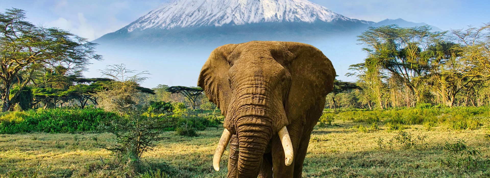 tourhub | Newmarket Holidays | Kenyan Wildlife & Coastal Explorer – Exclusively Solos 