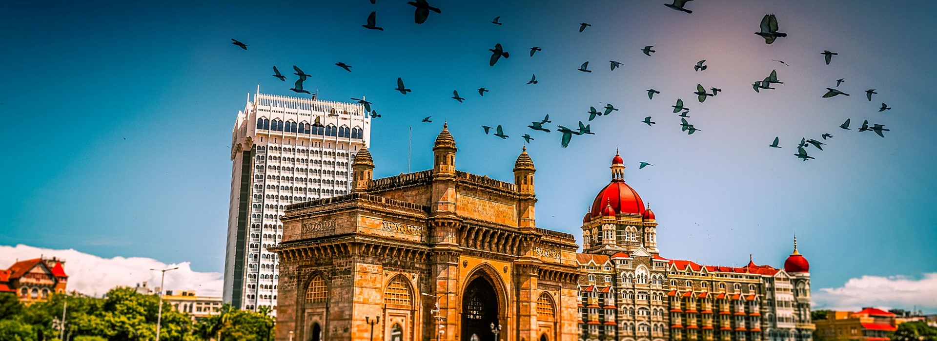 tourhub | Newmarket Holidays | India’s Best Wildlife & the Taj Mahal 