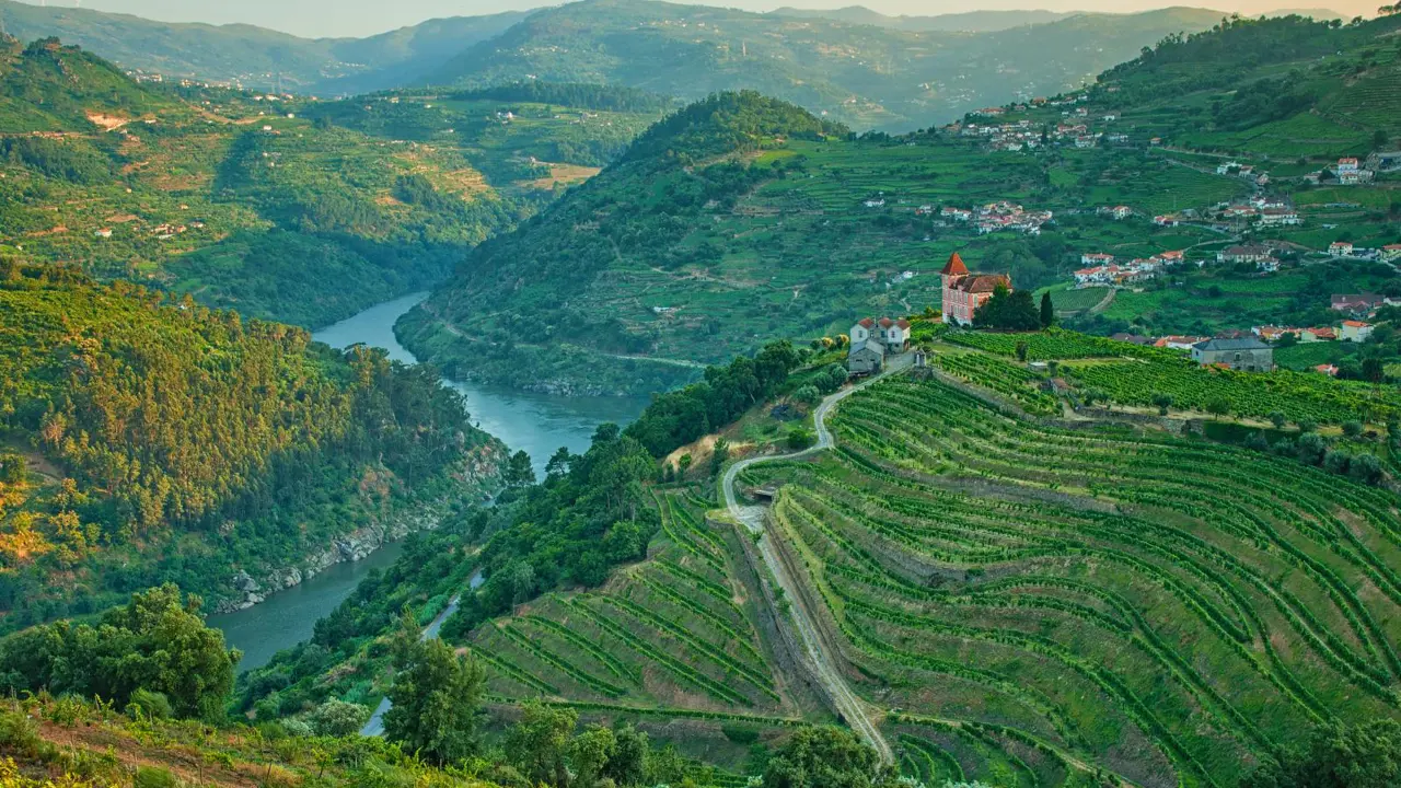 Vineyard Hills, Douro Valley, Portugal