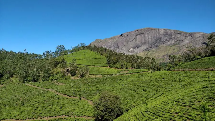 Eravikulam National Park, Kerala, India