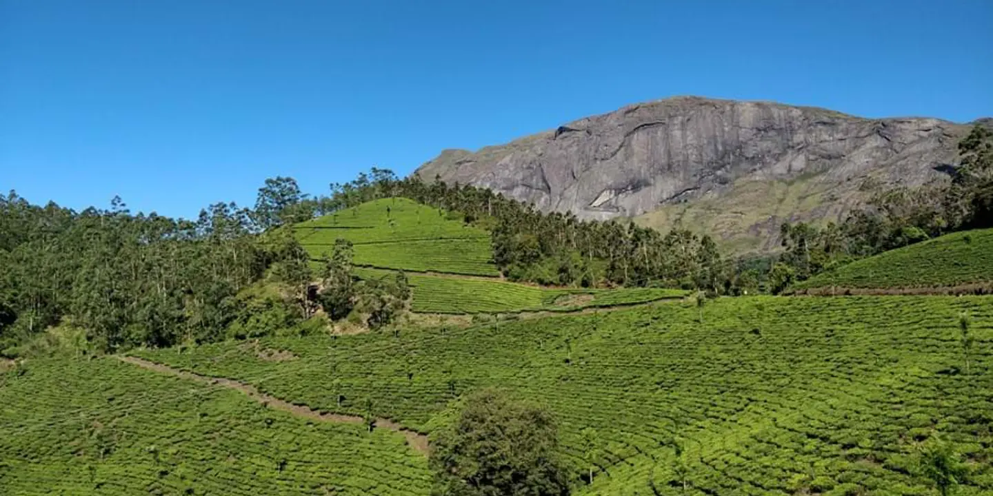 Eravikulam National Park, Kerala, India