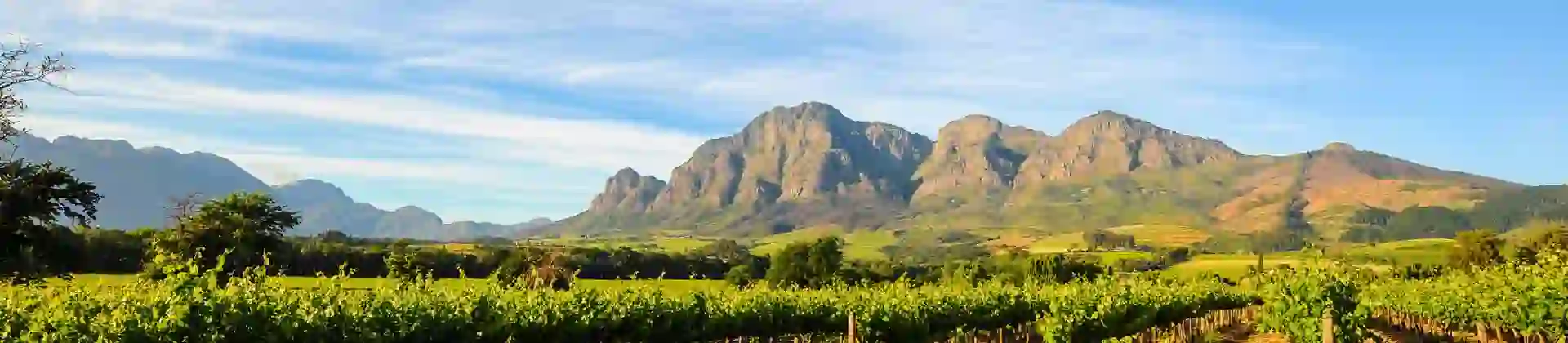 Stellenbosch Vineyards Cape Town South Africa