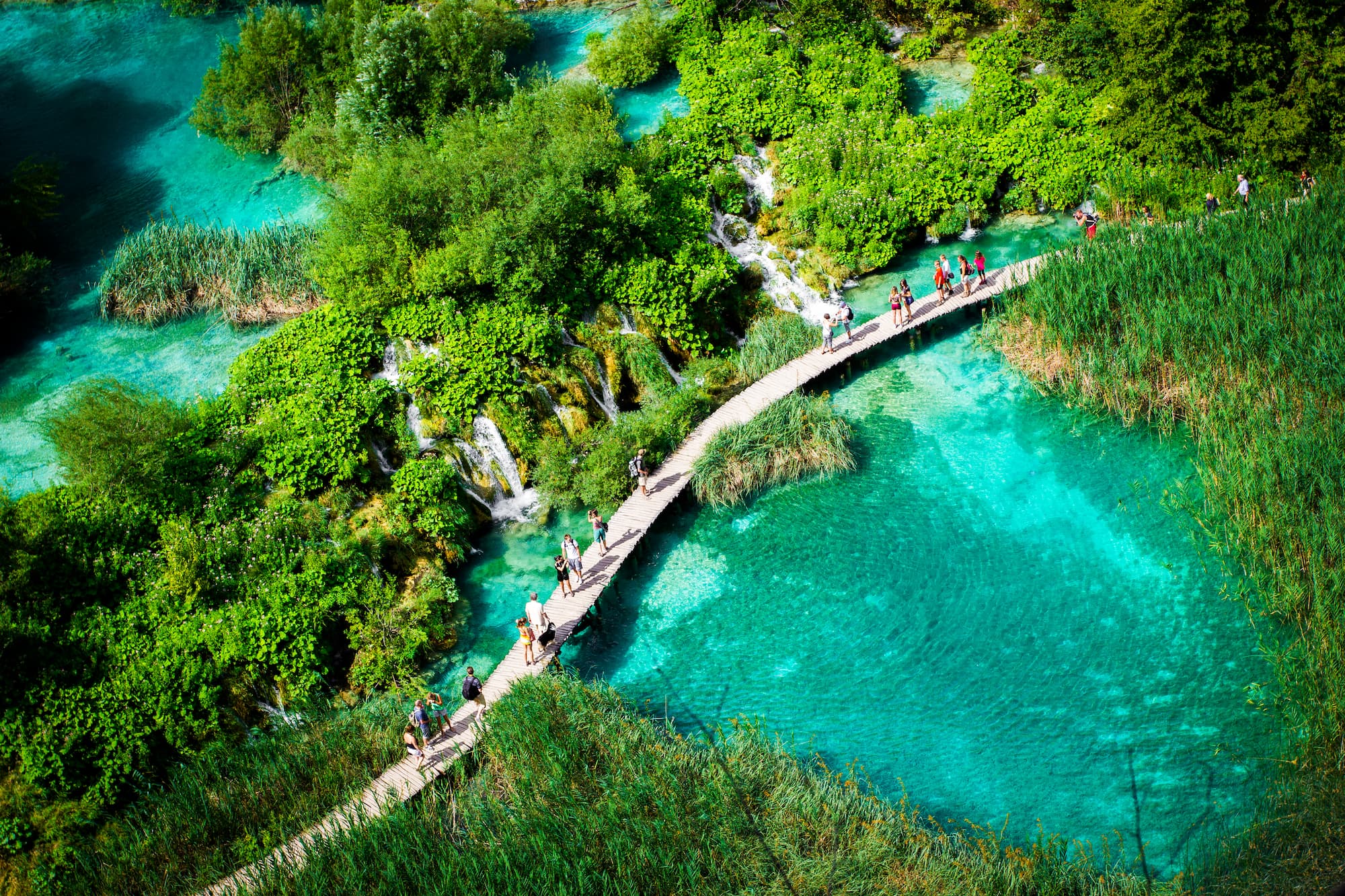 Adobestock 55515350 (1)