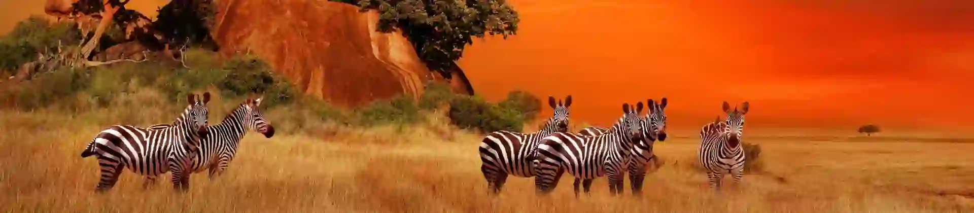 Shutterstock 2175128995