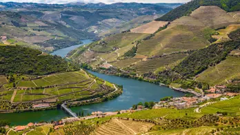 Vineyards, Douro Valley