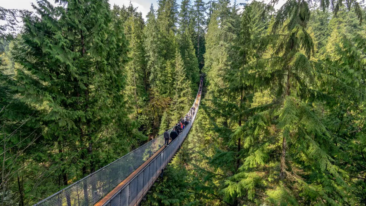 Capilano Suspension Bridge, Vancouver