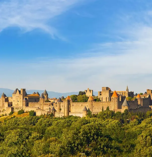 Wide view of the medieval Cité de Carcassonne fortress in France, surrounded by its historic stone walls and towers