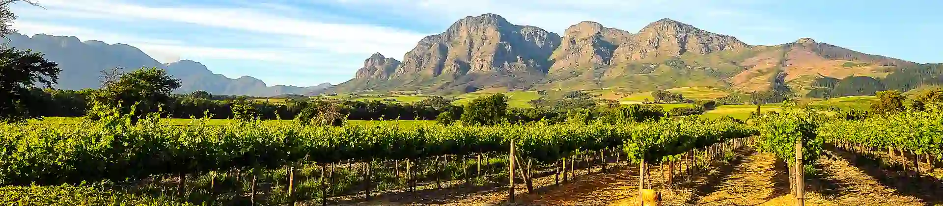 Cape Winelands, South Africa