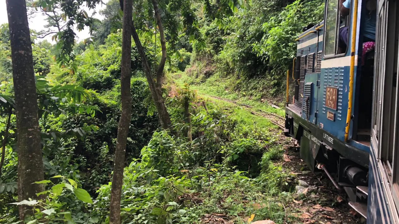 Himalayan Railway, or Toy Train, Darjeeling, West Bengal, India