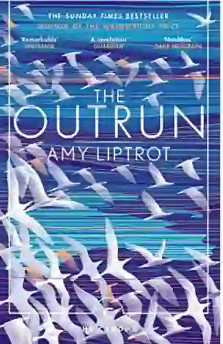 Cover of The Outrun by Amy Liptrot featuring stylised white birds on blue waves