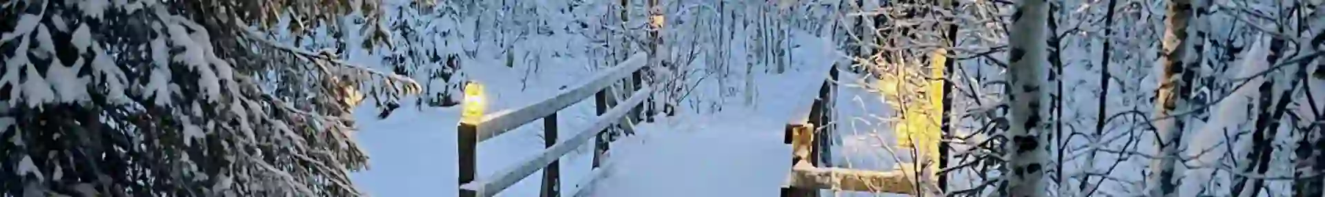 A wooden bridge covered in snow, surrounded by snow-covered trees in Swedish Lapland