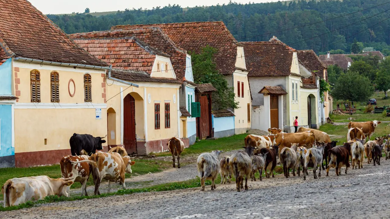 Viscri, Transylvania