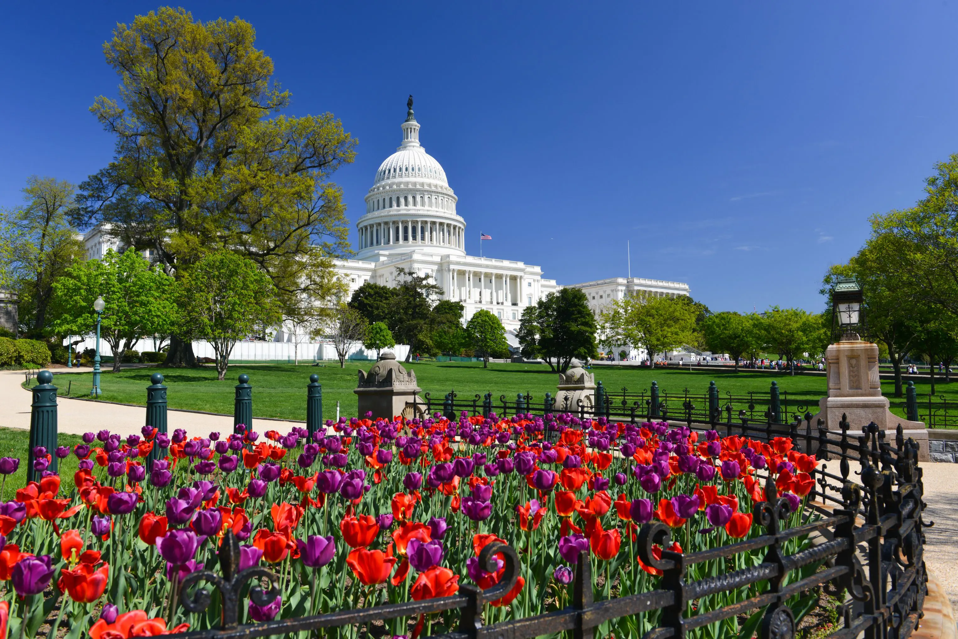 US Capitol Building, Washington DC