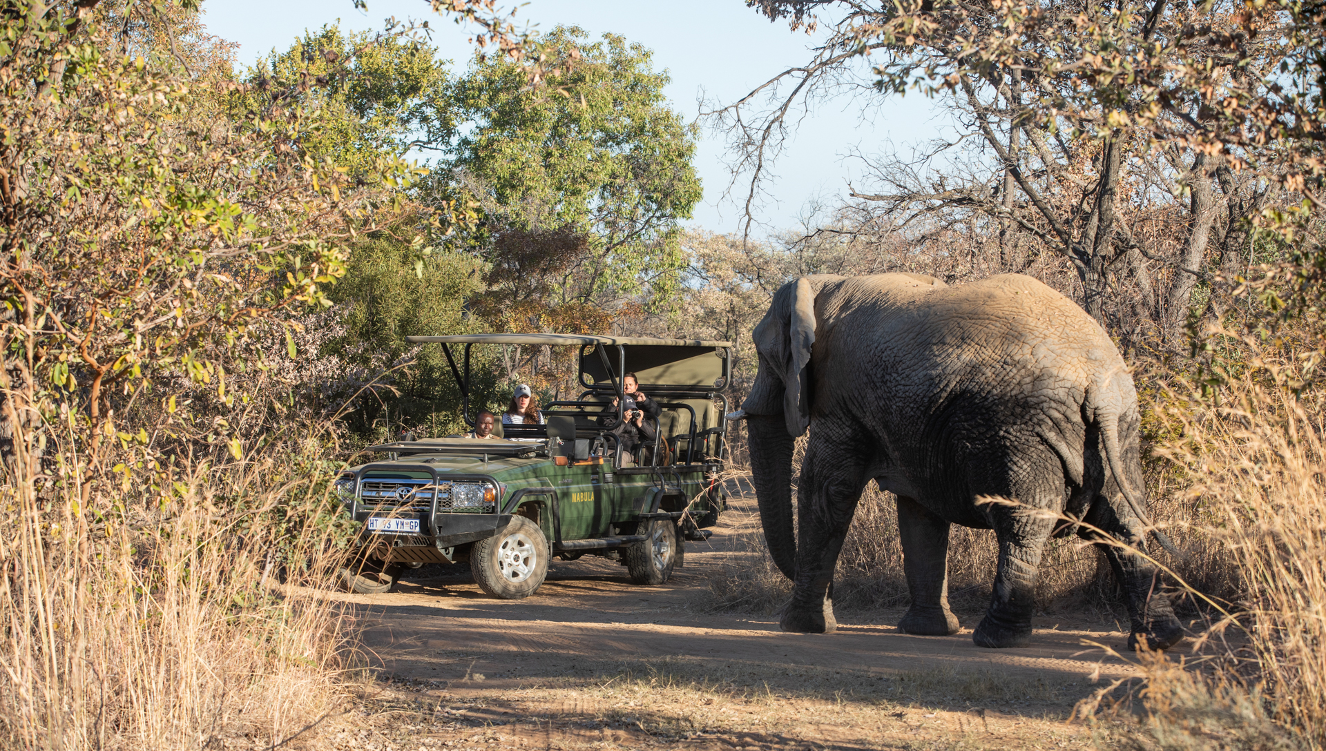 Mabula Game Lodge Wildlife 41
