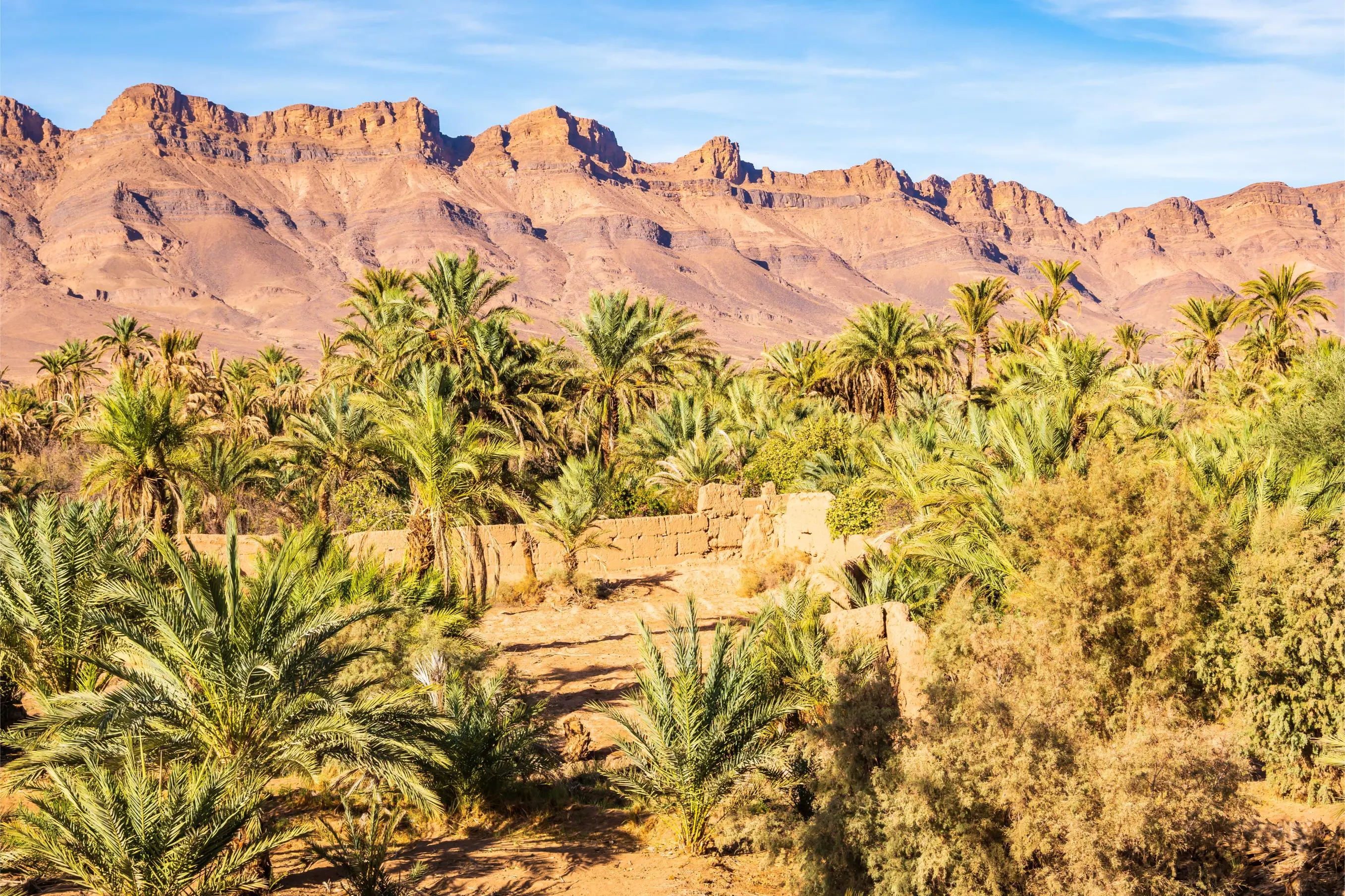 Oasis in desert landscape between Agdz and Zagora, Atlas Mountains