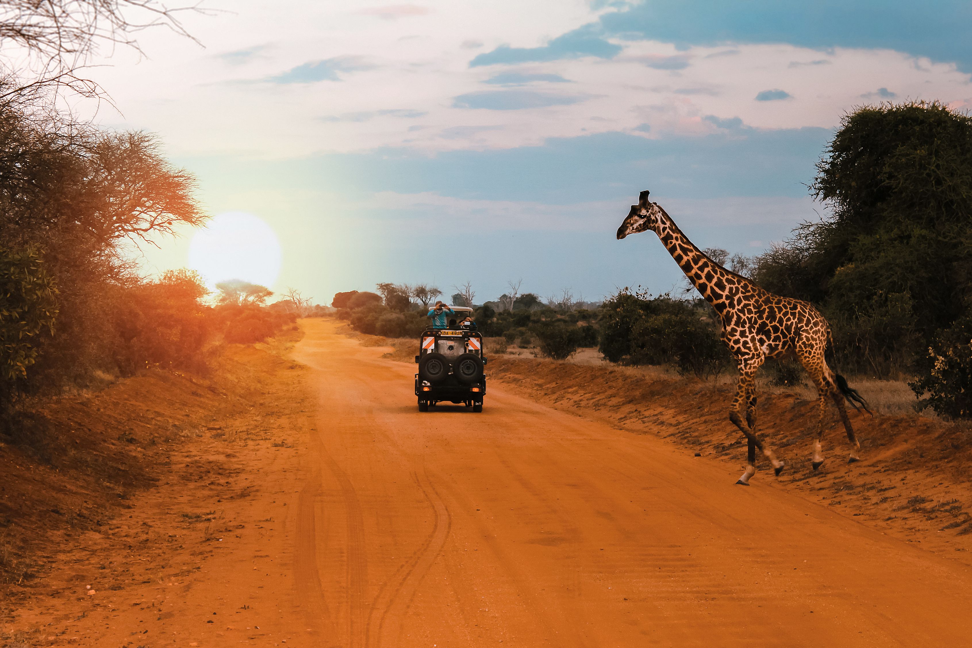 A Jeep Stops While A Giraffe Crosses The Road During A Safari In Kenya