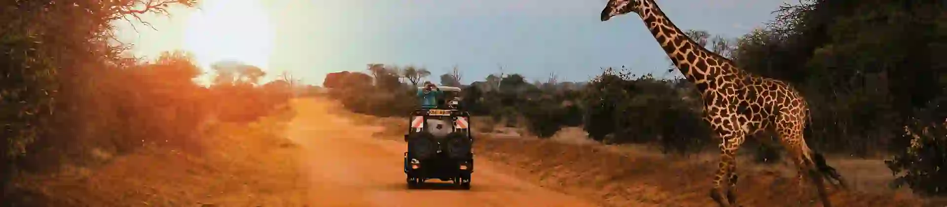 A Jeep Stops While A Giraffe Crosses The Road During A Safari In Kenya