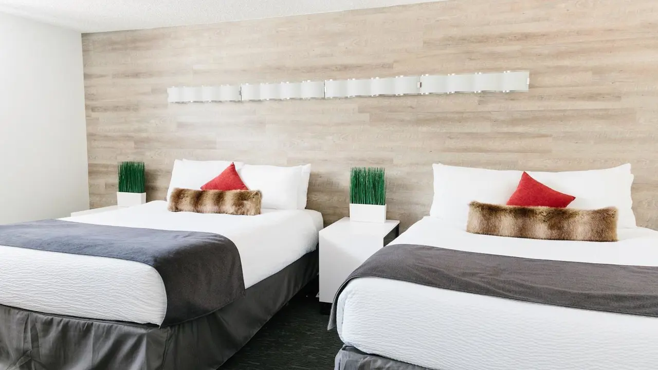 Bright, modern guestroom at Elk + Avenue Hotel with two double beds featuring red accent pillows and faux fur cushions, white nightstands, and minimalist green décor