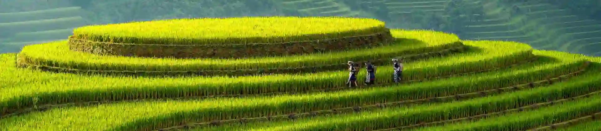 2000X1200 Carousel Background (3)