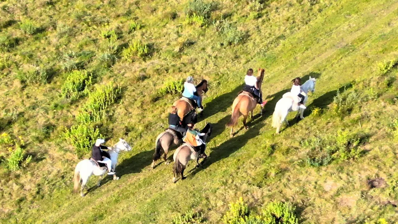Estancia Finca Piedra, Uruguay, exploring on horseback