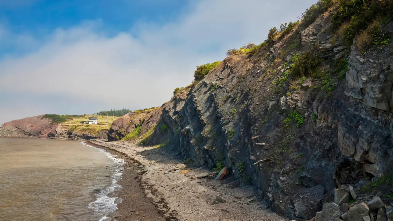 Joggins Fossil Cliffs, Nova Scotia