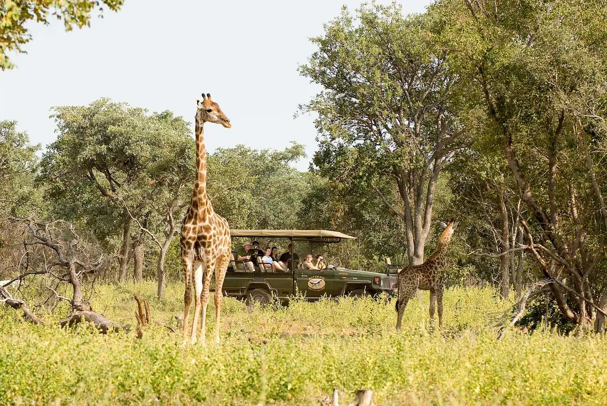 Sebatana Rhino Lodge, game drive