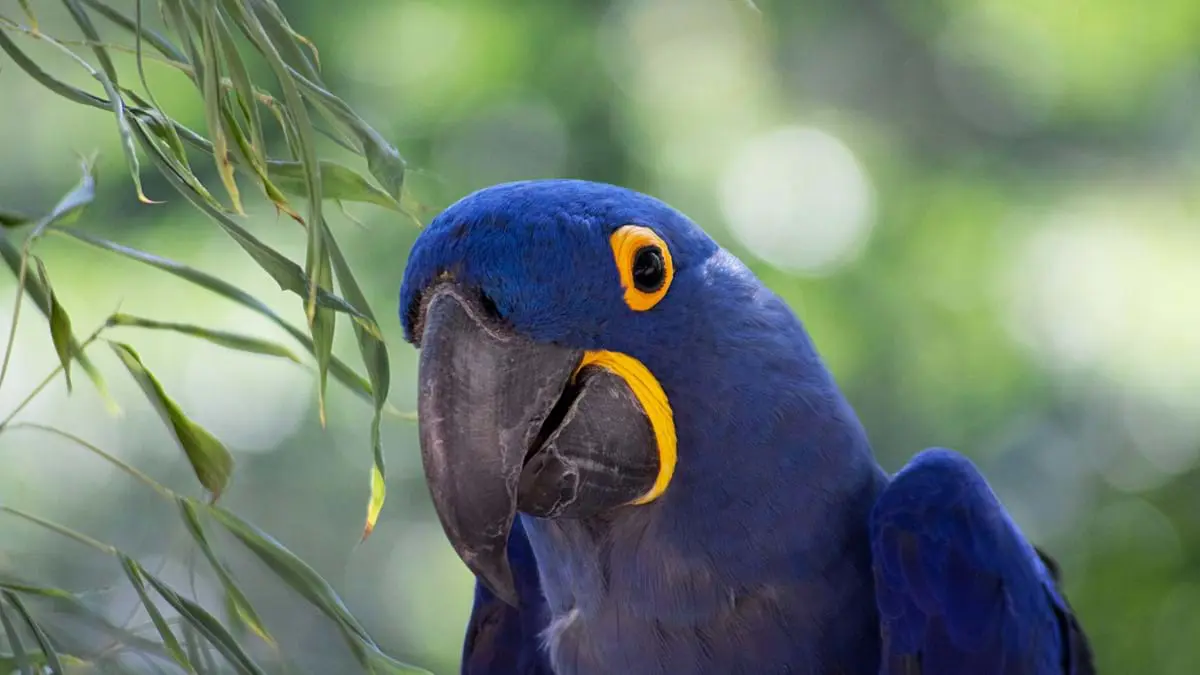 San Diego Zoo