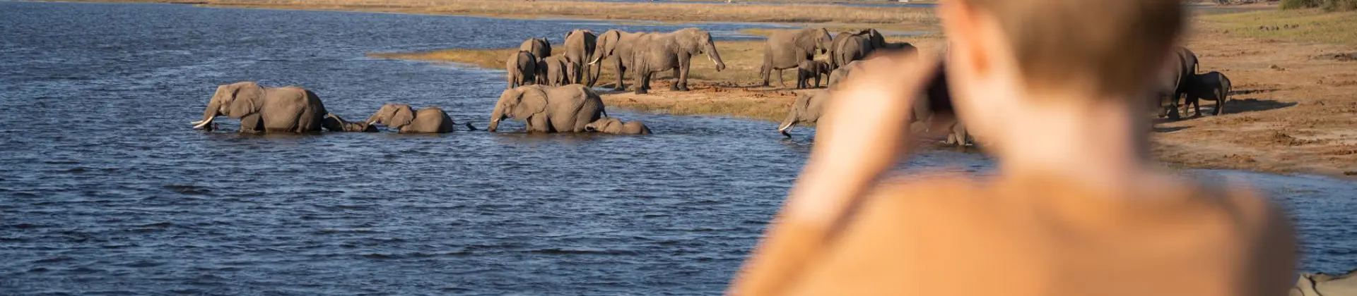 The Chobe Safari Lodge Family Safari 11