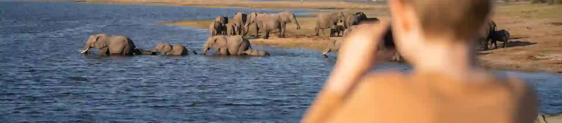 The Chobe Safari Lodge Family Safari 11