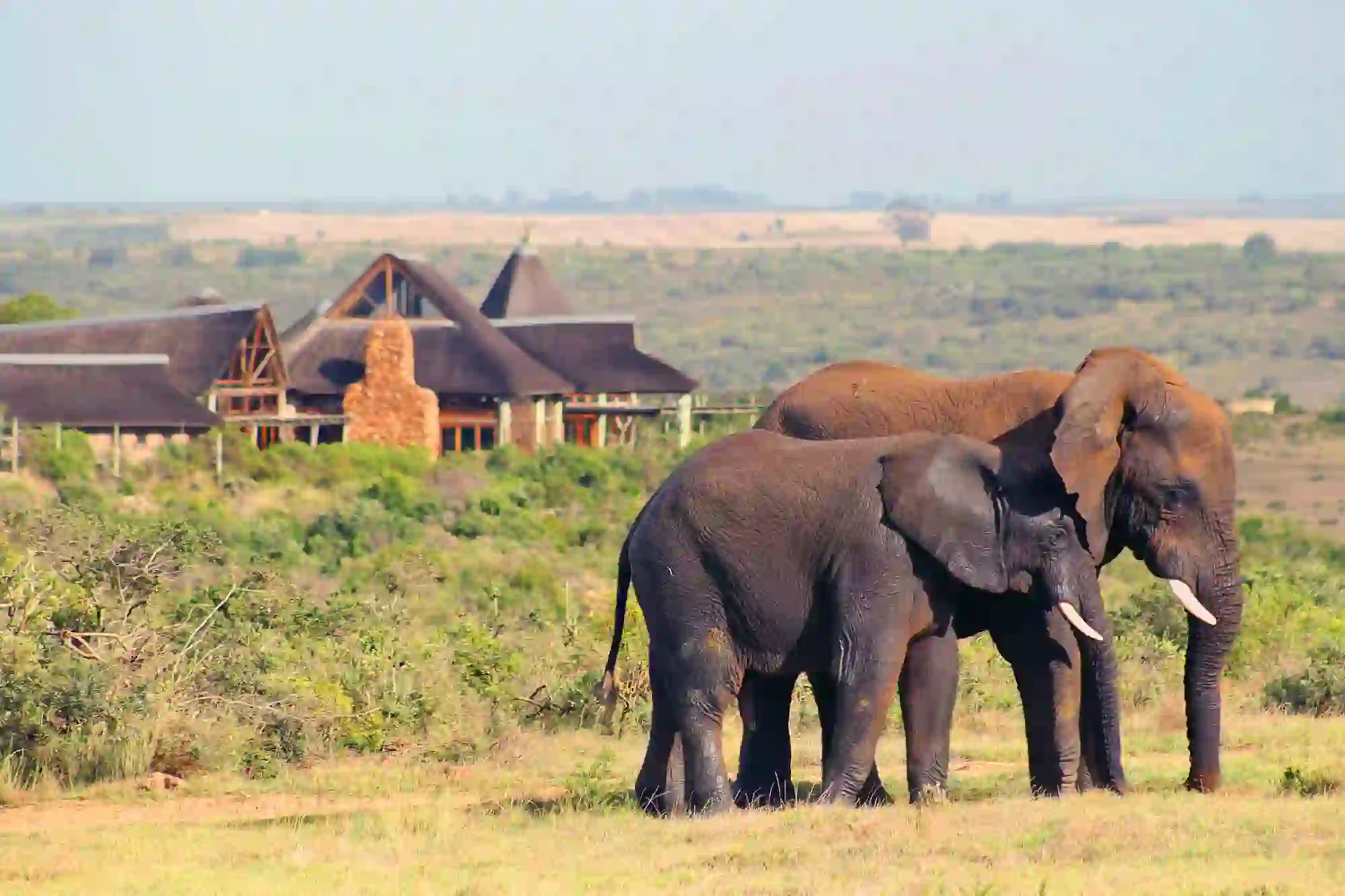 Garden Route Game Lodge