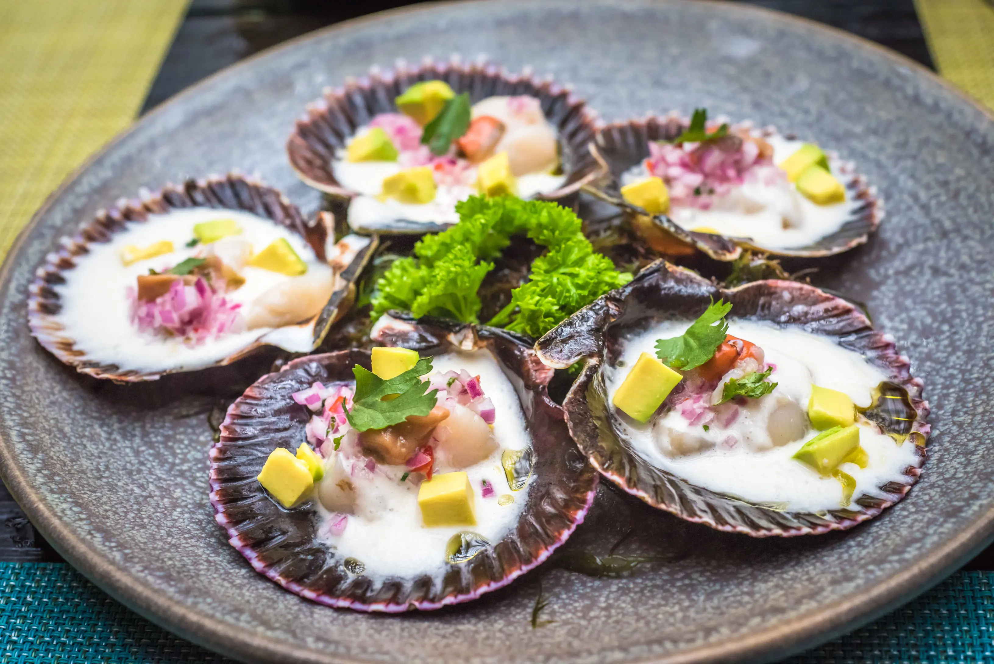 Fresh scallops, Peru