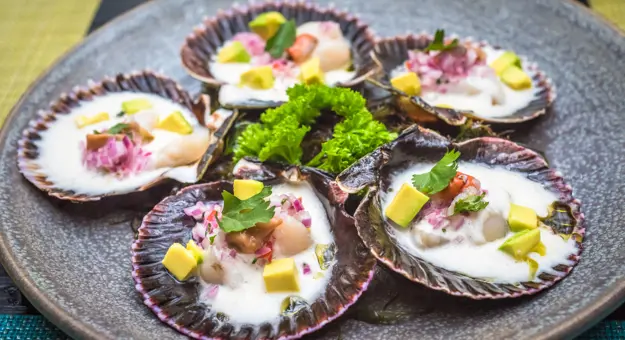 Fresh scallops, Peru