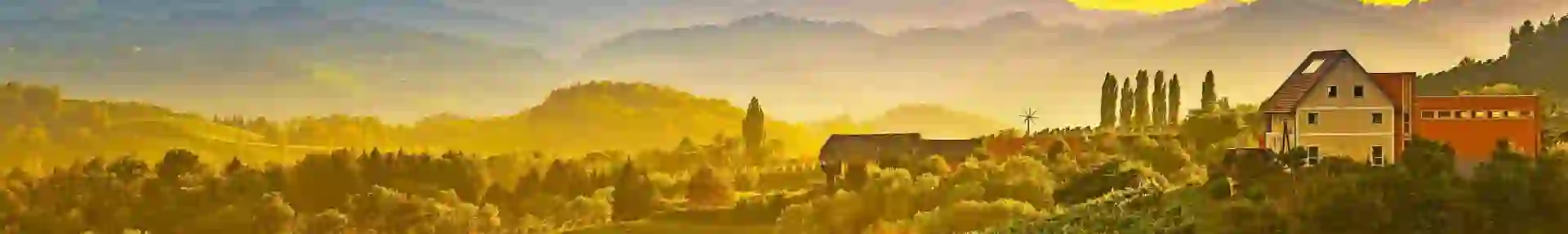 Rolling vineyards bathed in golden sunset light with a farmhouse on a hill in Tuscany, Italy