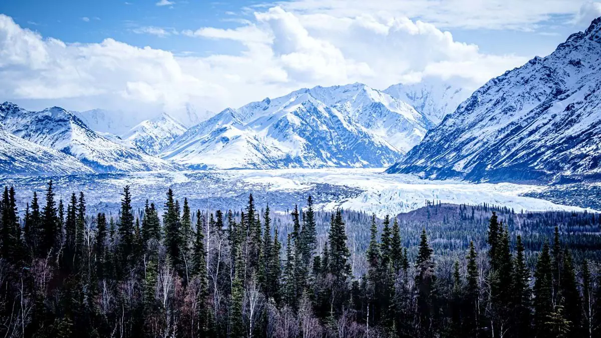 Alaska View