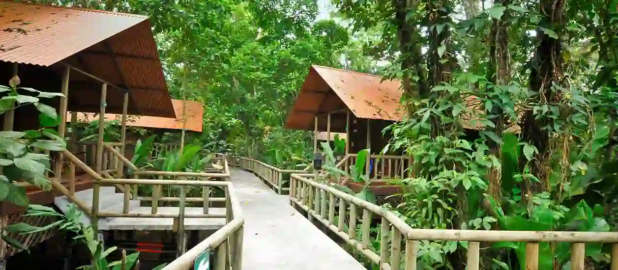 Pachira Lodge, Tortuguero National Park, exterior