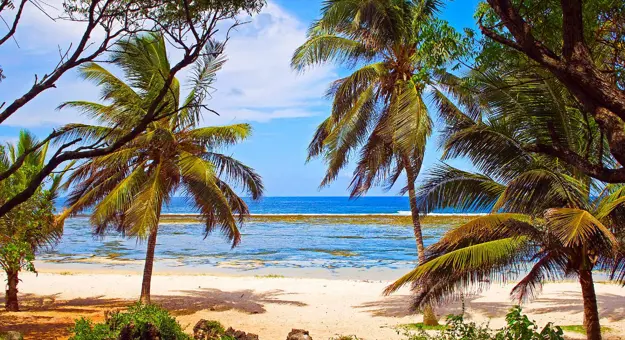 Mombasa Beach in Kenya with soft white sand, clear turquoise waters, and gentle waves, framed by palm trees and a bright blue sky