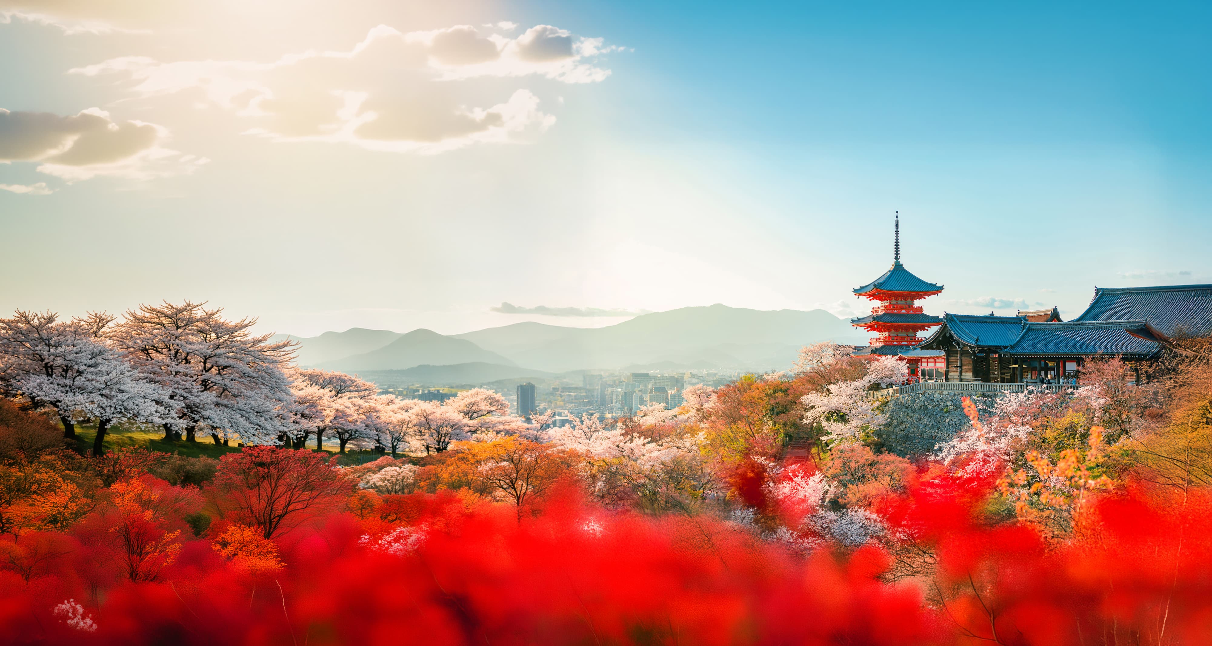 Shutterstock 2307399653 Kiyomizu Dera, Kyoto Copy Ext (1)
