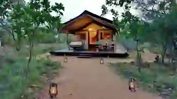 9. Signature Safari Plains Safari Suite