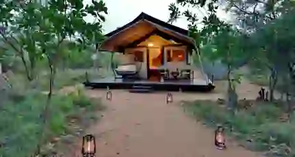 9. Signature Safari Plains Safari Suite