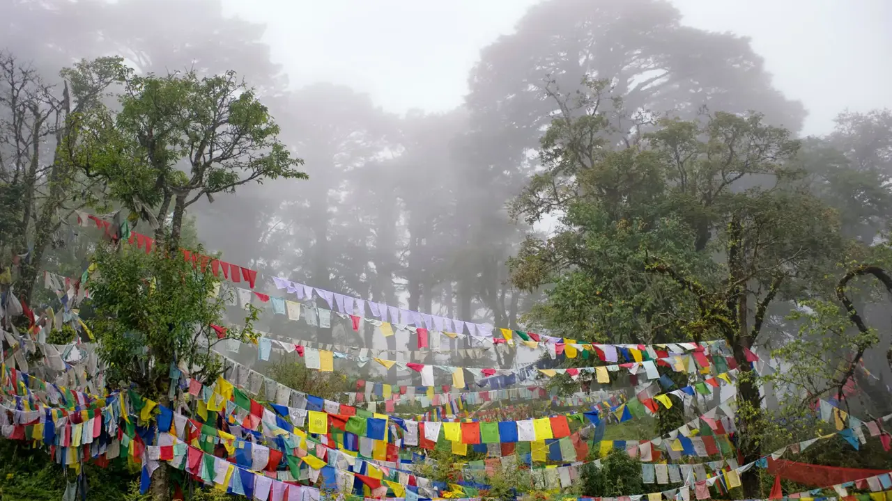 Buddhist prayer flags in the fog, Dochula Pass, Bhutan