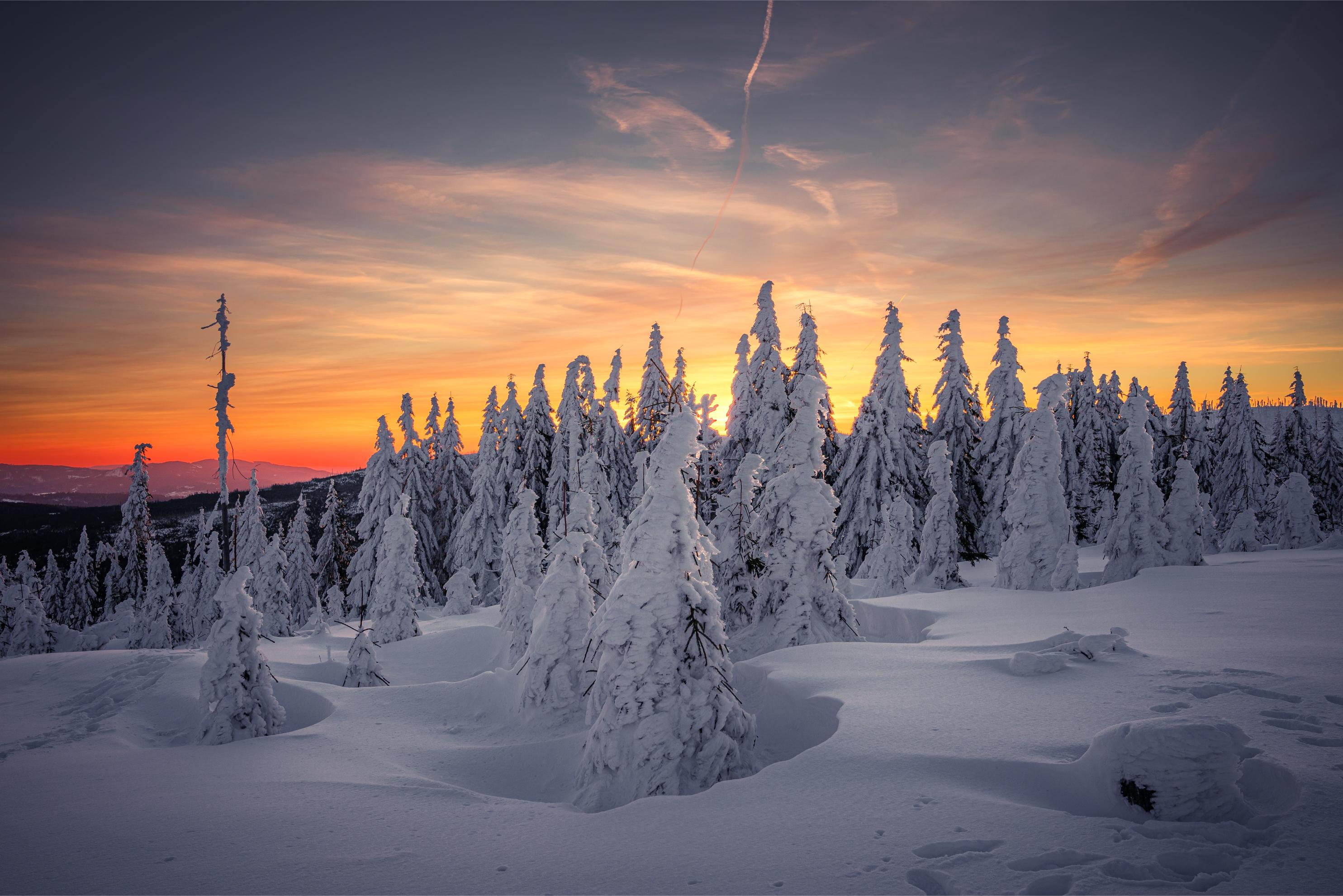 Winter scene, Bavarian Forest, Germany